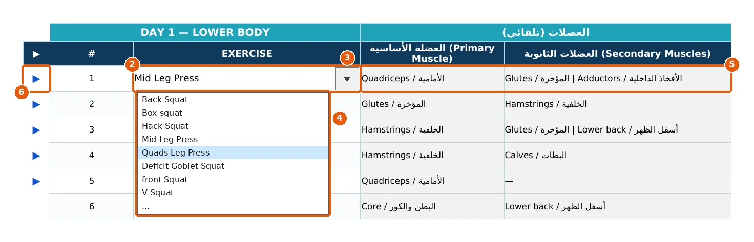 لقطة من ملف المتدرب: قائمة منسدلة لاختيار التمرين أو البديل مع العضلة الأساسية والثانوية