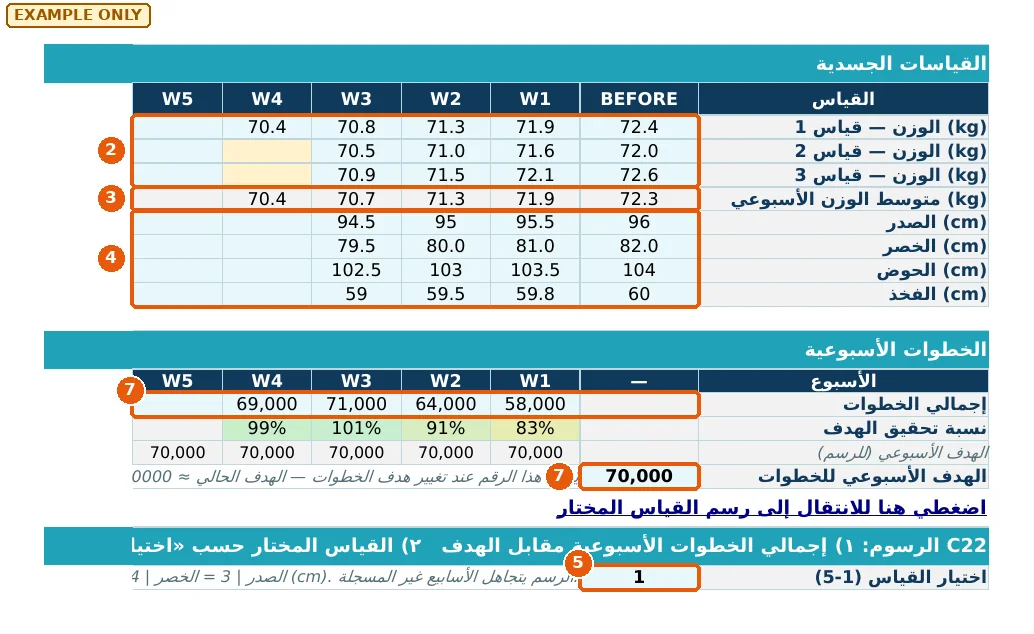لقطة من لوحة التقدم في ملف المتدرب ببيانات مثال: الوزن والقياسات والخطوات الأسبوعية مقابل الهدف